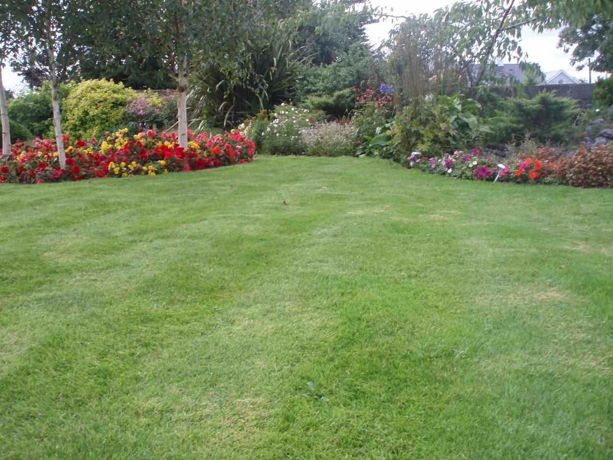 Rosdarrig Bed&Breakfast Boyle Exteriör bild