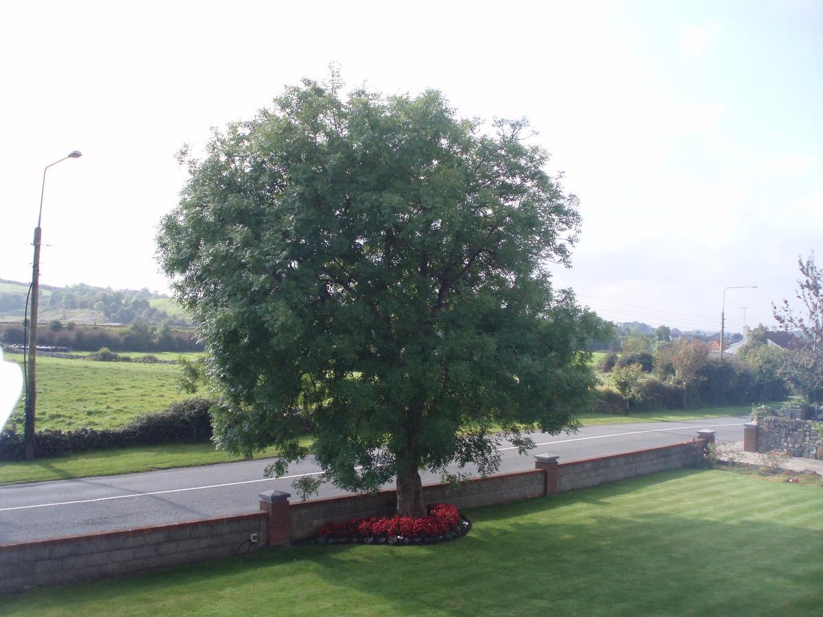 Rosdarrig Bed&Breakfast Boyle Exteriör bild