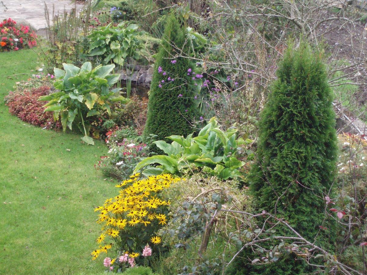 Rosdarrig Bed&Breakfast Boyle Exteriör bild