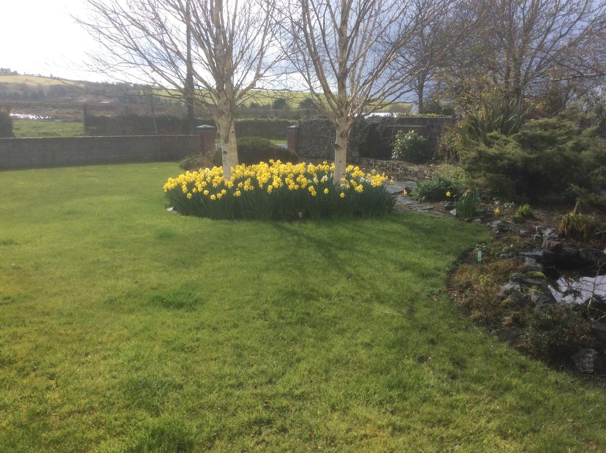 Rosdarrig Bed&Breakfast Boyle Exteriör bild