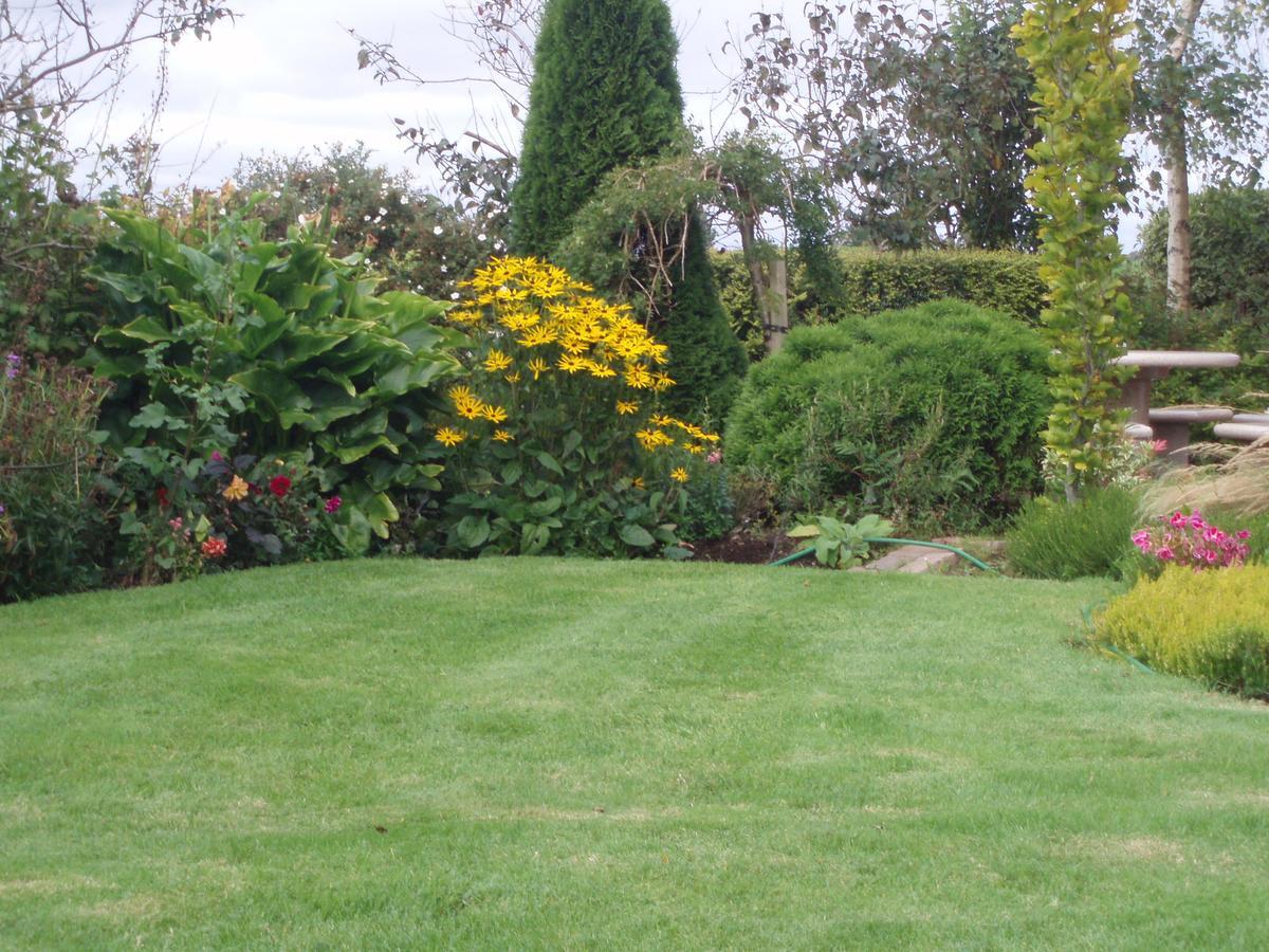 Rosdarrig Bed&Breakfast Boyle Exteriör bild